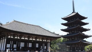 古都奈良興福寺、境内は見学自由