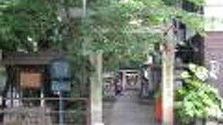 樹齢300年を超えるクスノキやケヤキ