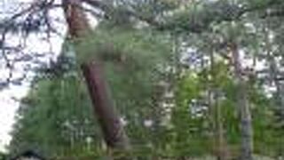 7.6haという広大な敷地