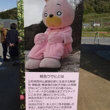 朝日町の非公式PRキャラクター「桃色ウサヒ」
