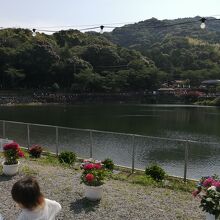 池をぐるりと回るように散策しました。