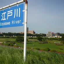 大きな川です。