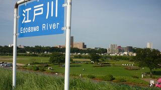 江戸川の河川敷は市民の憩いの場です。