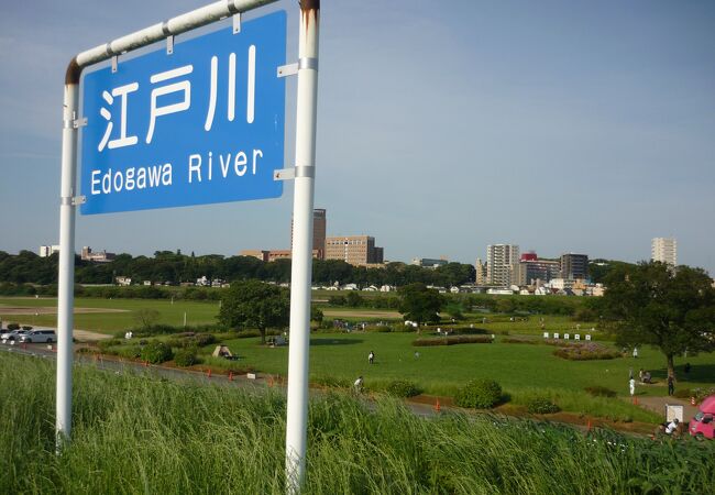 江戸川の河川敷は市民の憩いの場です。