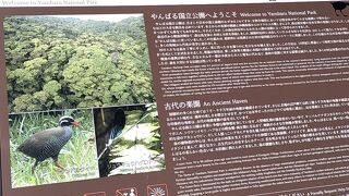 大石林山に行きました。
