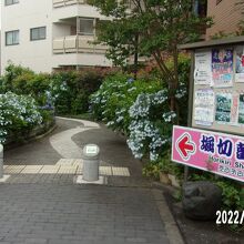 駅から菖蒲園へ進むとこの小路に通じます。