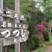 東庄町：神話時代に創建と伝わる東大社詣でと、雲井岬つつじ公園見物に。