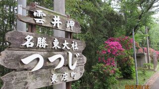 雲井岬つつじ公園