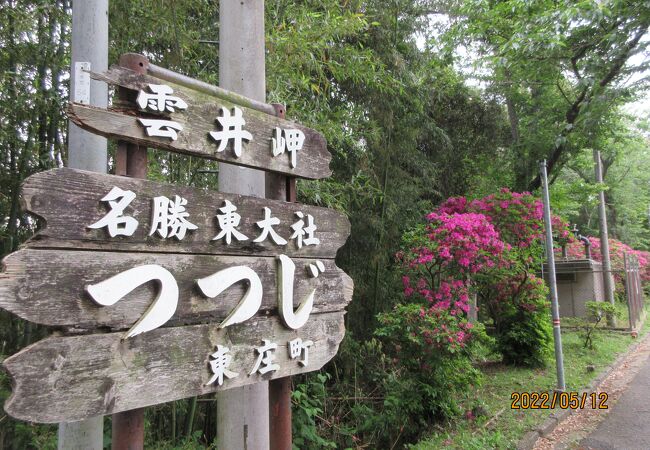 東庄町：神話時代に創建と伝わる東大社詣でと、雲井岬つつじ公園見物に。