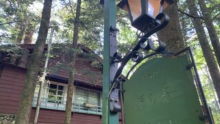 森の中の静かなカフェ