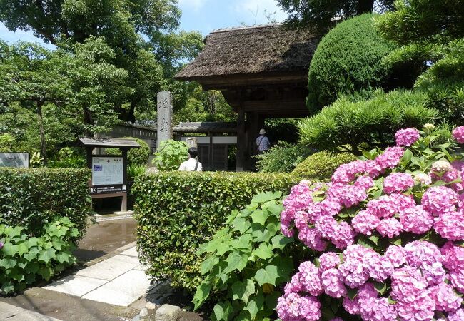 極楽寺 神奈川県鎌倉市 クチコミ アクセス 営業時間 鎌倉 フォートラベル 極楽寺 神奈川県鎌倉市 クチコミ アクセス 営業時間 鎌倉 フォートラベル