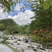 湧き出る温泉が川となって流れて行く様は圧巻