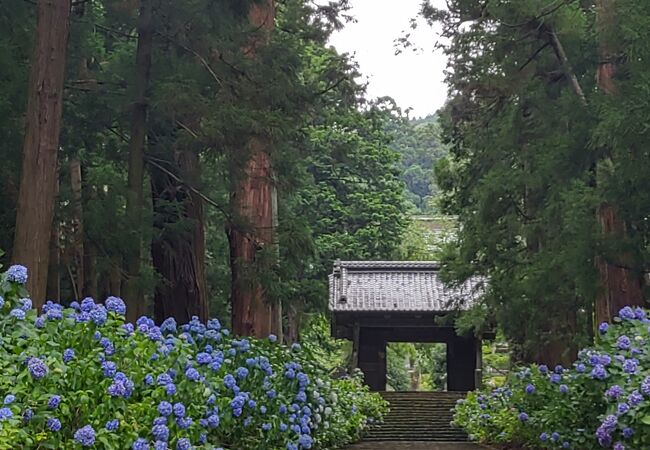 大中寺憩の森