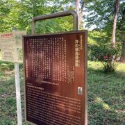 吉祥寺からも近い都立公園