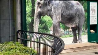 小さな動物園