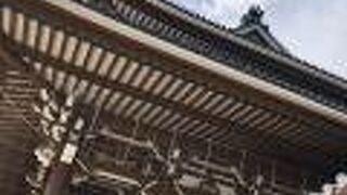 流石、真宗大谷派！