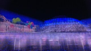 ライトアップは花より光