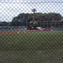 大蔵運動公園野球場