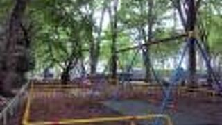 世田谷散策(9)大蔵運動公園に寄りました