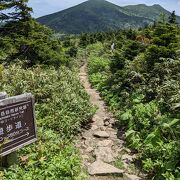 八甲田山の遊歩道