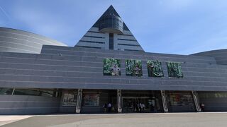 インパクトある外観