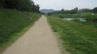 散歩がお勧め！