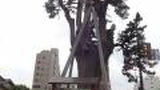 交通量の多い道路沿いにありました。