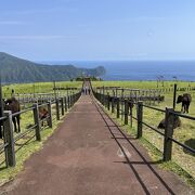 雄大な景色を楽しめるお勧めスポット