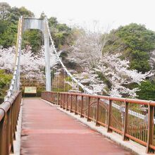 江汐湖橋