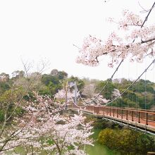 江汐湖橋