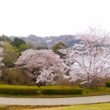 広場から江汐湖を眺める。