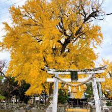 天川命神社