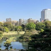 【藤代峠】庭園の中に「峠」！？　園内が一望できる小高い丘です