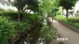 全長5kmに及ぶ親水公園です。