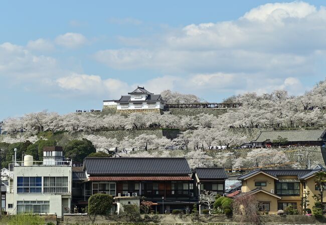 津山城 鶴山公園 クチコミ アクセス 営業時間 津山 フォートラベル