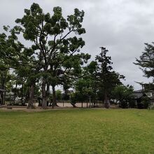 城内は公園になっている