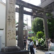 毎年あじさい祭りが開催されてる都内の神社。
