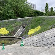 横網町公園にある大きな花壇