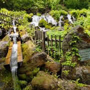 羊蹄山の水が絶え間なく湧き出る「名水の里」