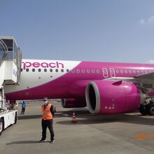 機材は A320-200 NEO