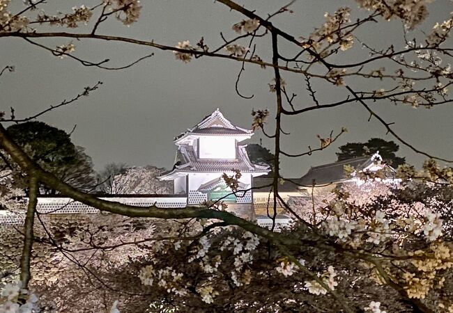 金沢城・兼六園ライトアップ 早春の段