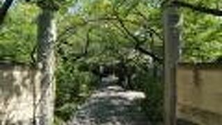 森の中にいるみたい