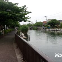 新川の景観です。