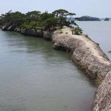 ...入れ替わりに二人連れが≪馬の背≫へ。この画像で見える？