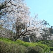 広すぎる舞鶴公園