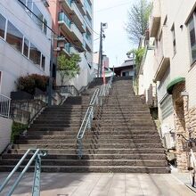 下から見上げています