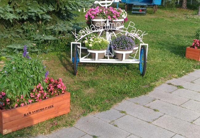 リラックスプラザを利用したついでに川下公園を散策しました。