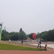 普段は広々とした市民の公園です