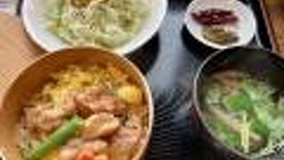 ワンコイン鶏飯