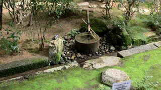 徳川光圀寄進のつくばいも美しいです。